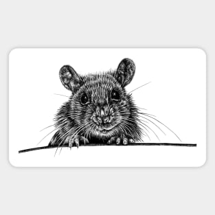 House mouse Magnet